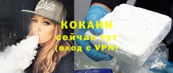 твердый Алзамай