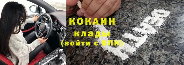 твердый Алзамай