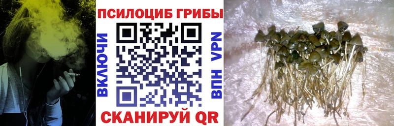 Галлюциногенные грибы мухоморы купить наркоту Бакал